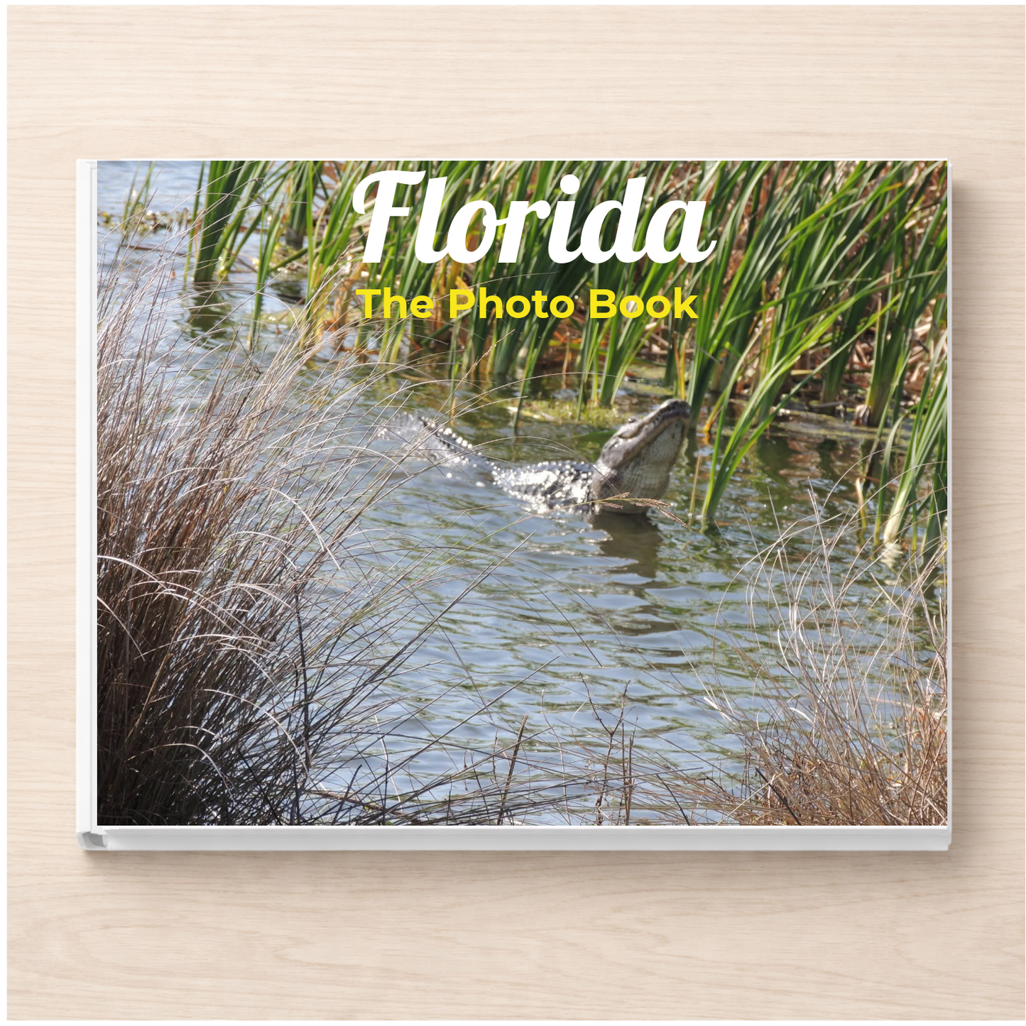 Florida: The Photo Book