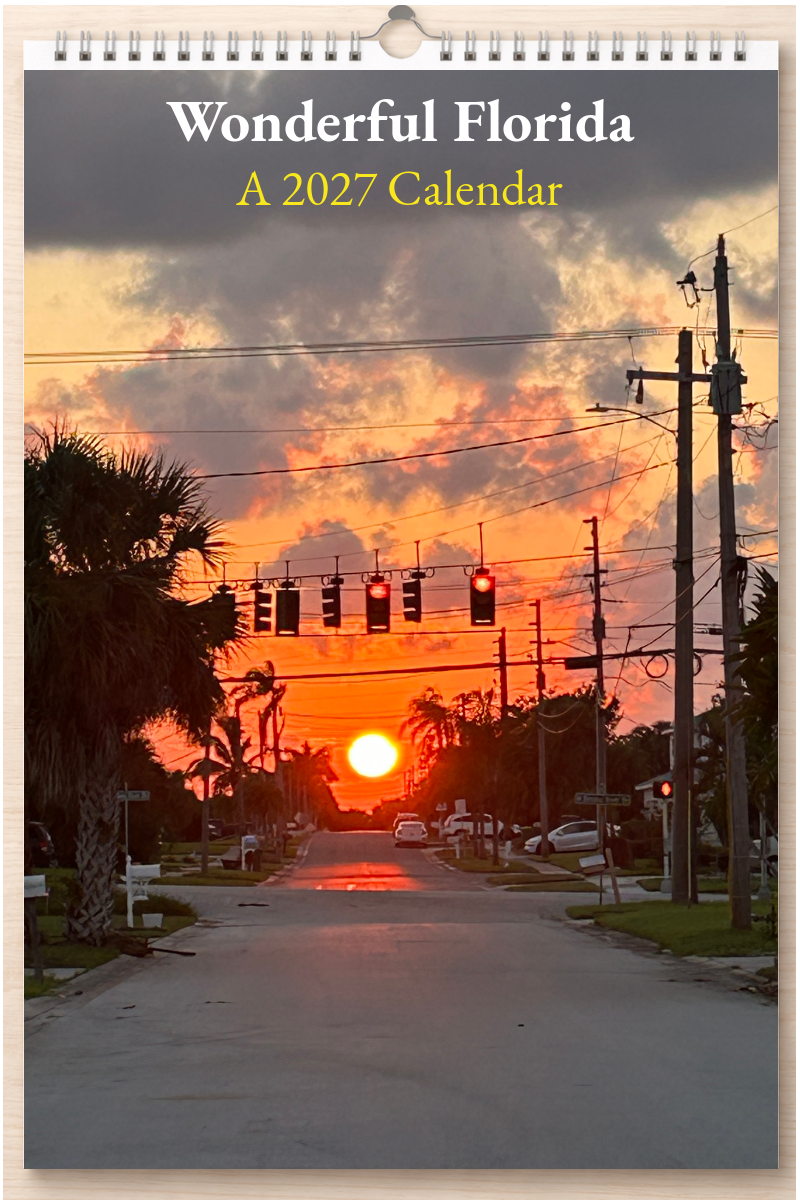 Wonderful Florida: A 2027 Calendar