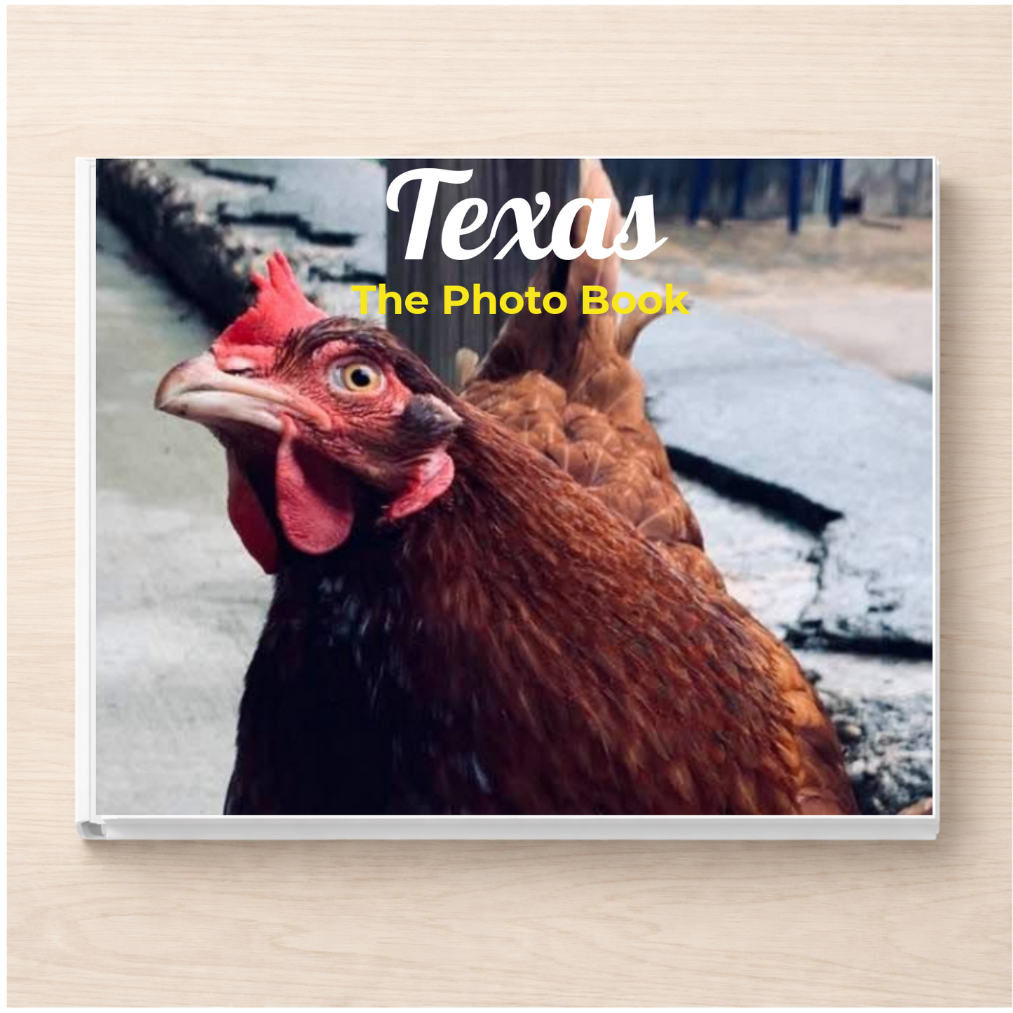 Texas: The Photo Book
