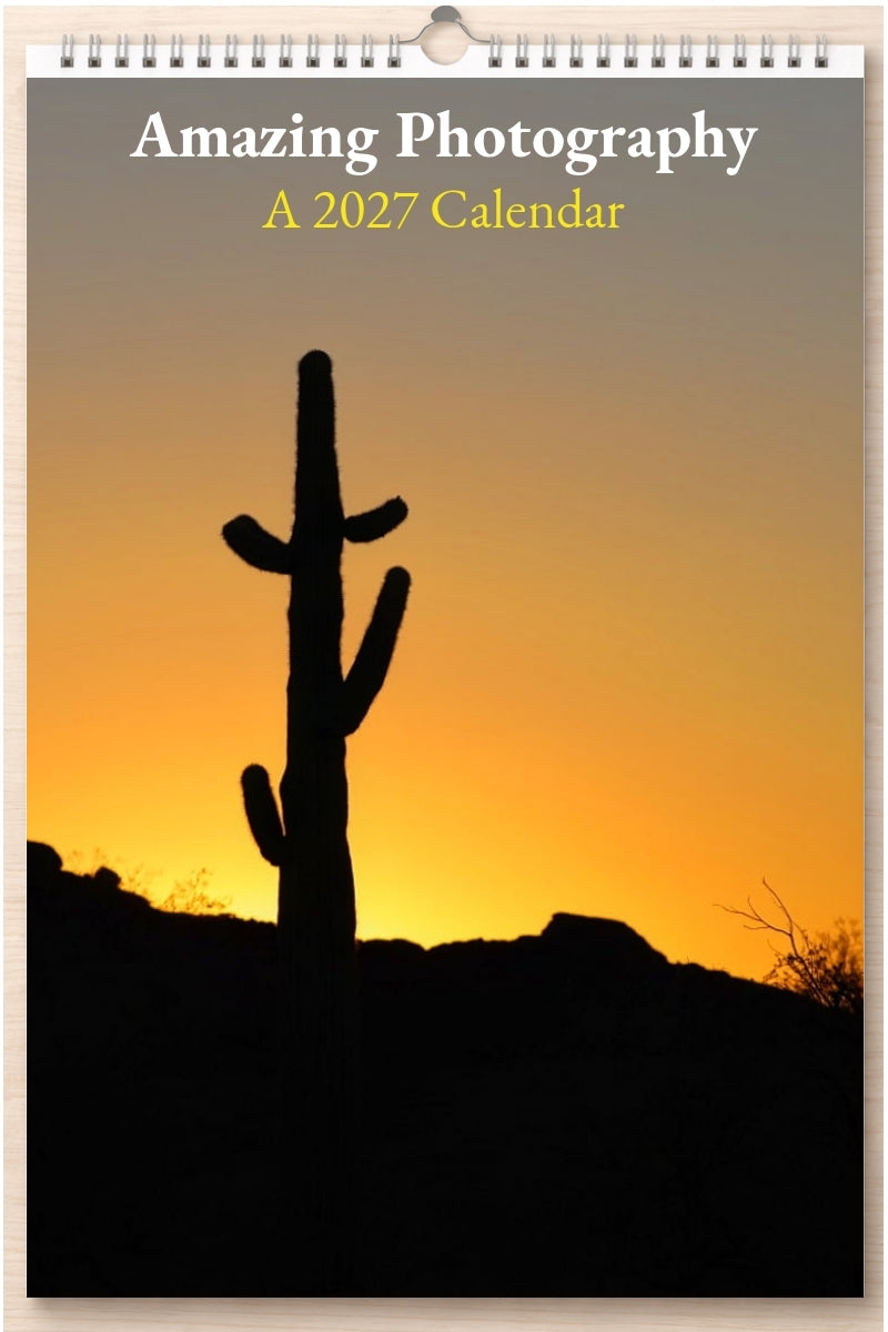 Amazing Photography: A 2027 Calendar