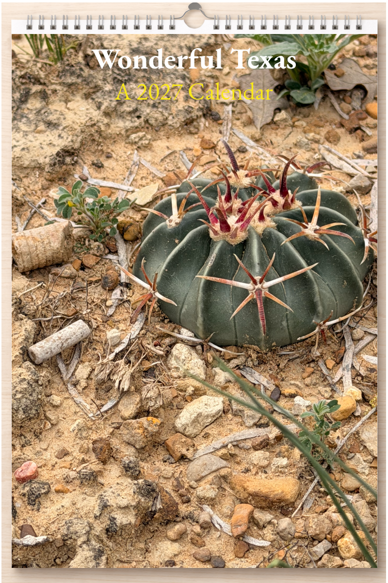 Wonderful Texas: A 2027 Calendar