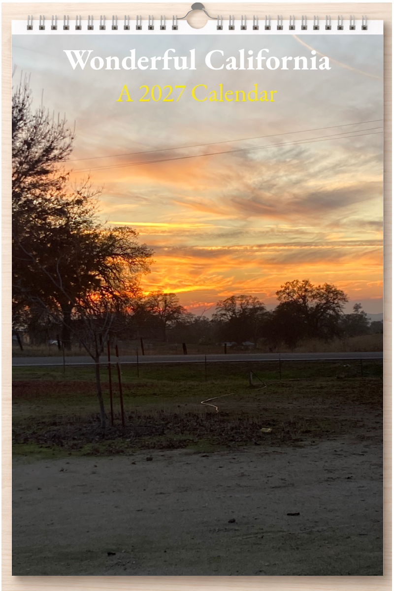 Wonderful California: A 2027 Calendar