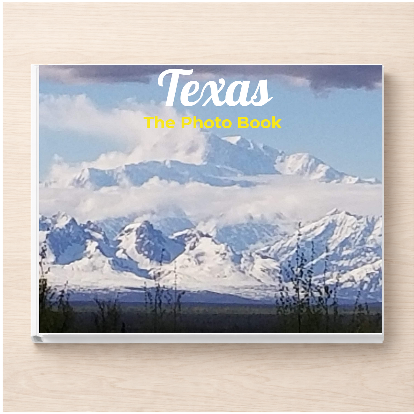Texas: The Photo Book