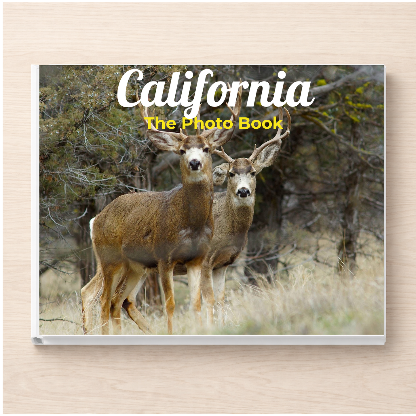 California: The Photo Book