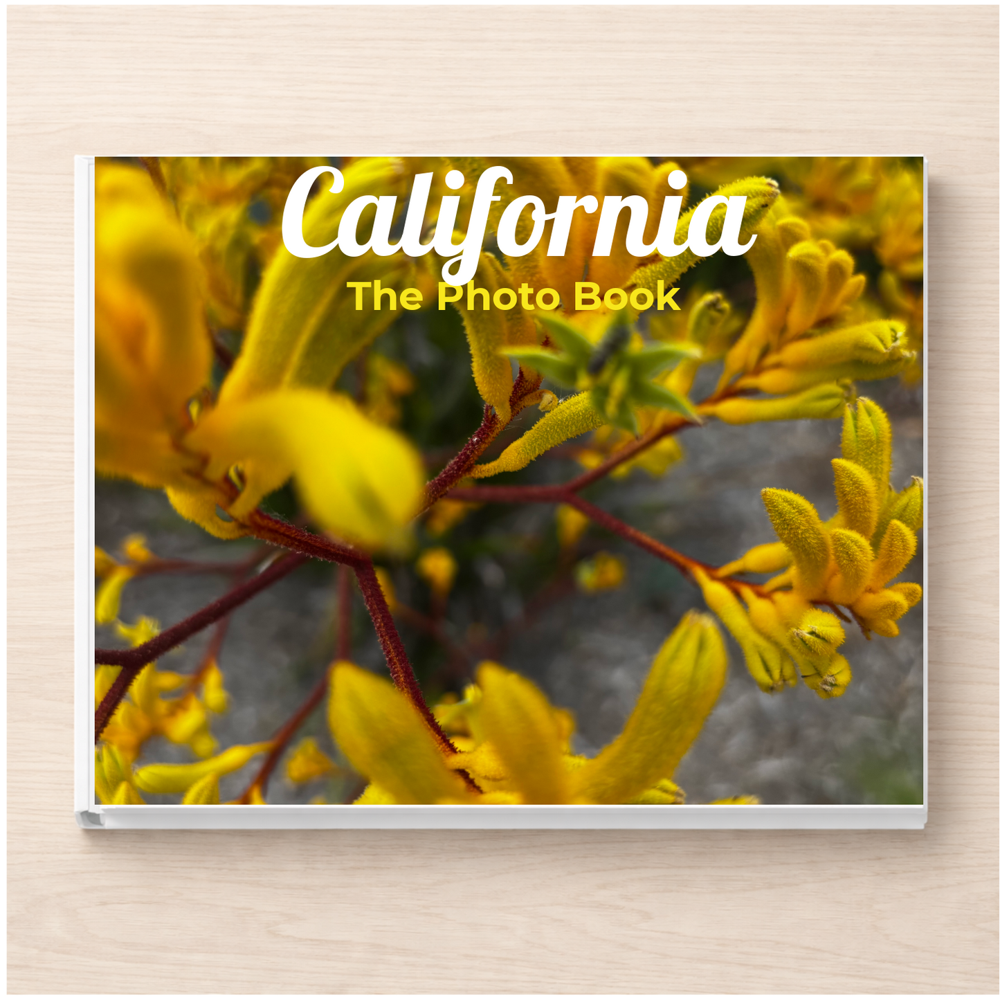 California: The Photo Book