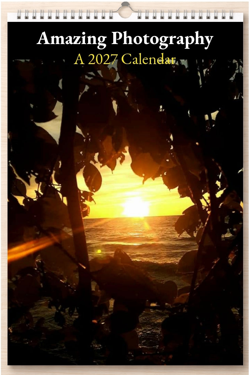 Amazing Photography: A 2027 Calendar
