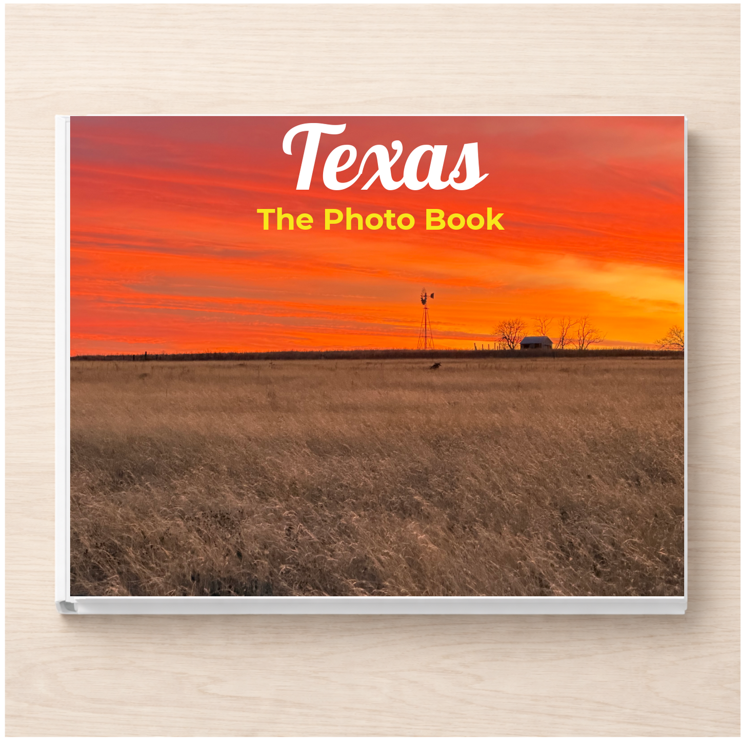 Texas: The Photo Book