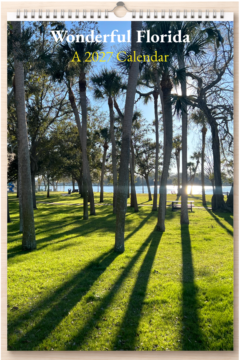Wonderful Florida: A 2027 Calendar