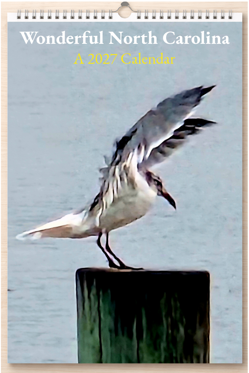 Wonderful North Carolina: A 2027 Calendar