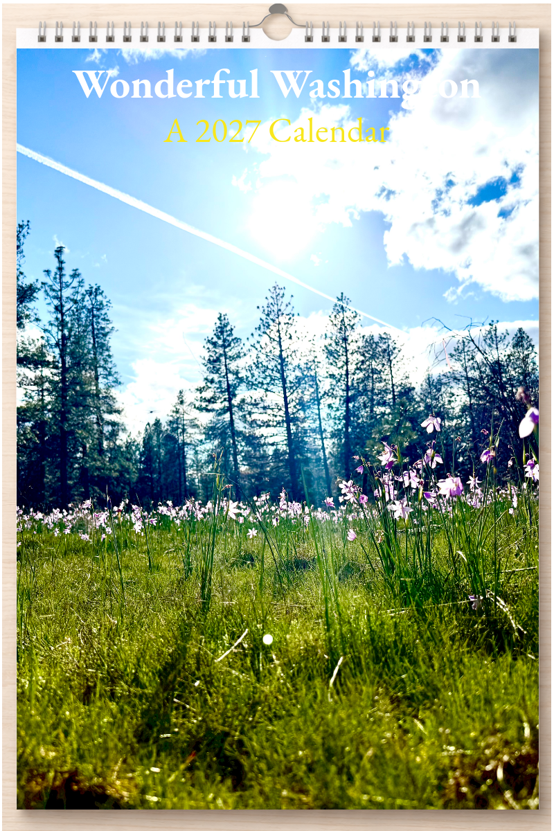 Wonderful Washington: A 2027 Calendar