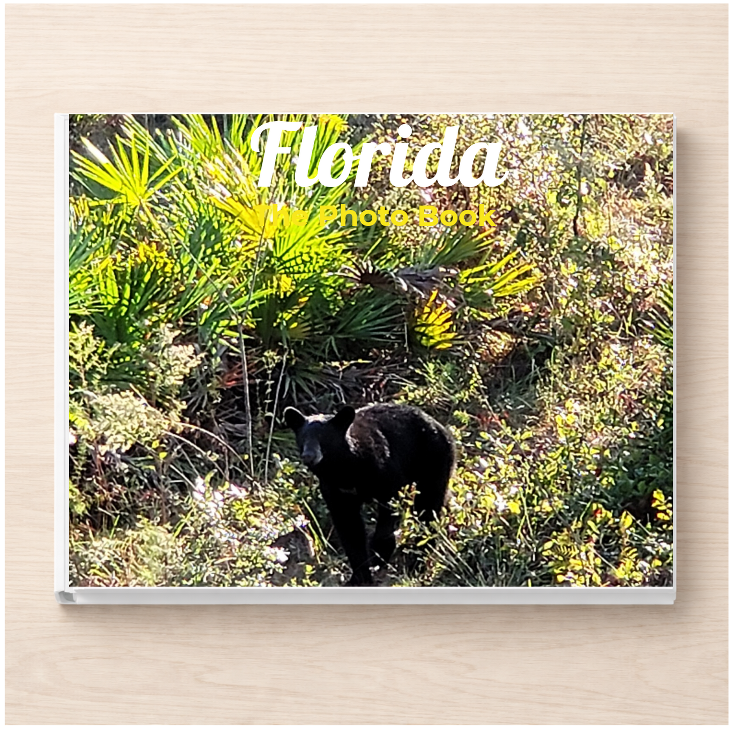 Florida: The Photo Book