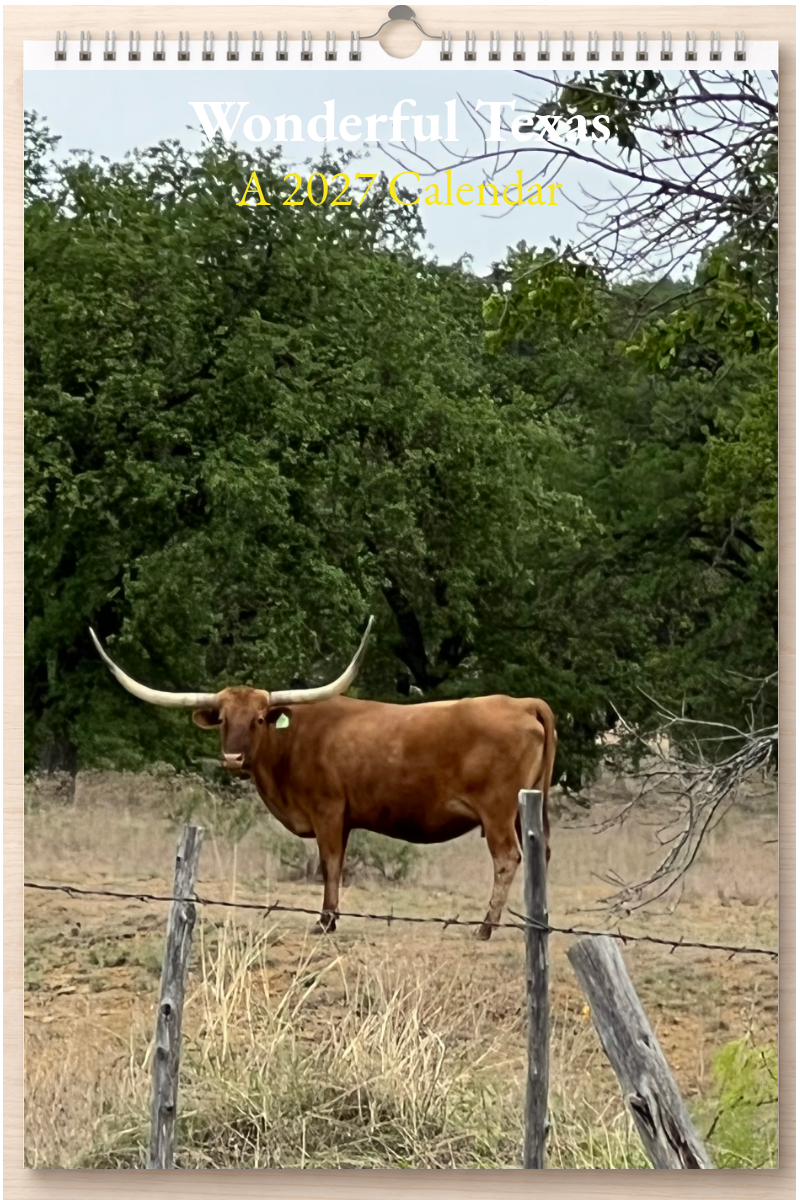 Wonderful Texas: A 2027 Calendar