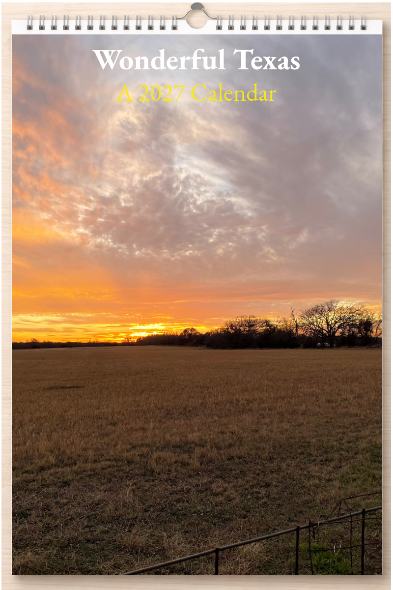 Wonderful Texas: A 2027 Calendar