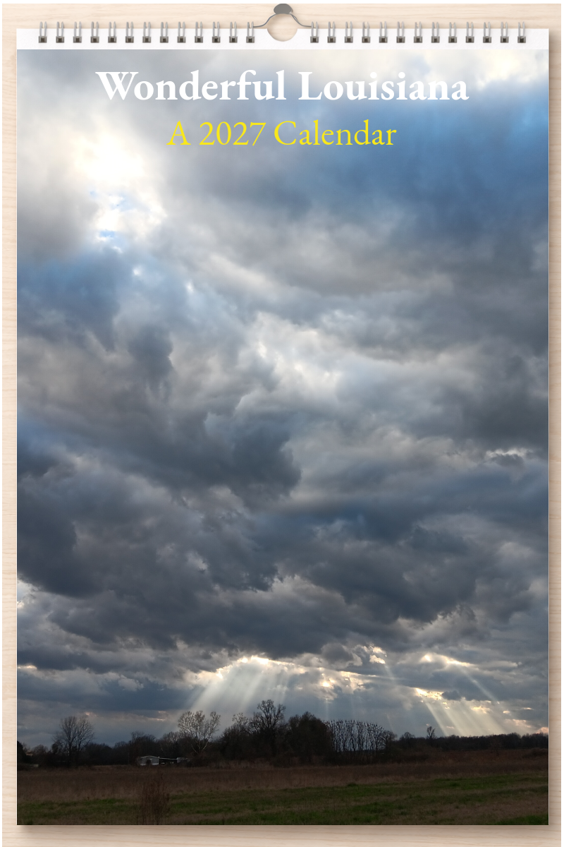 Wonderful Louisiana: A 2027 Calendar