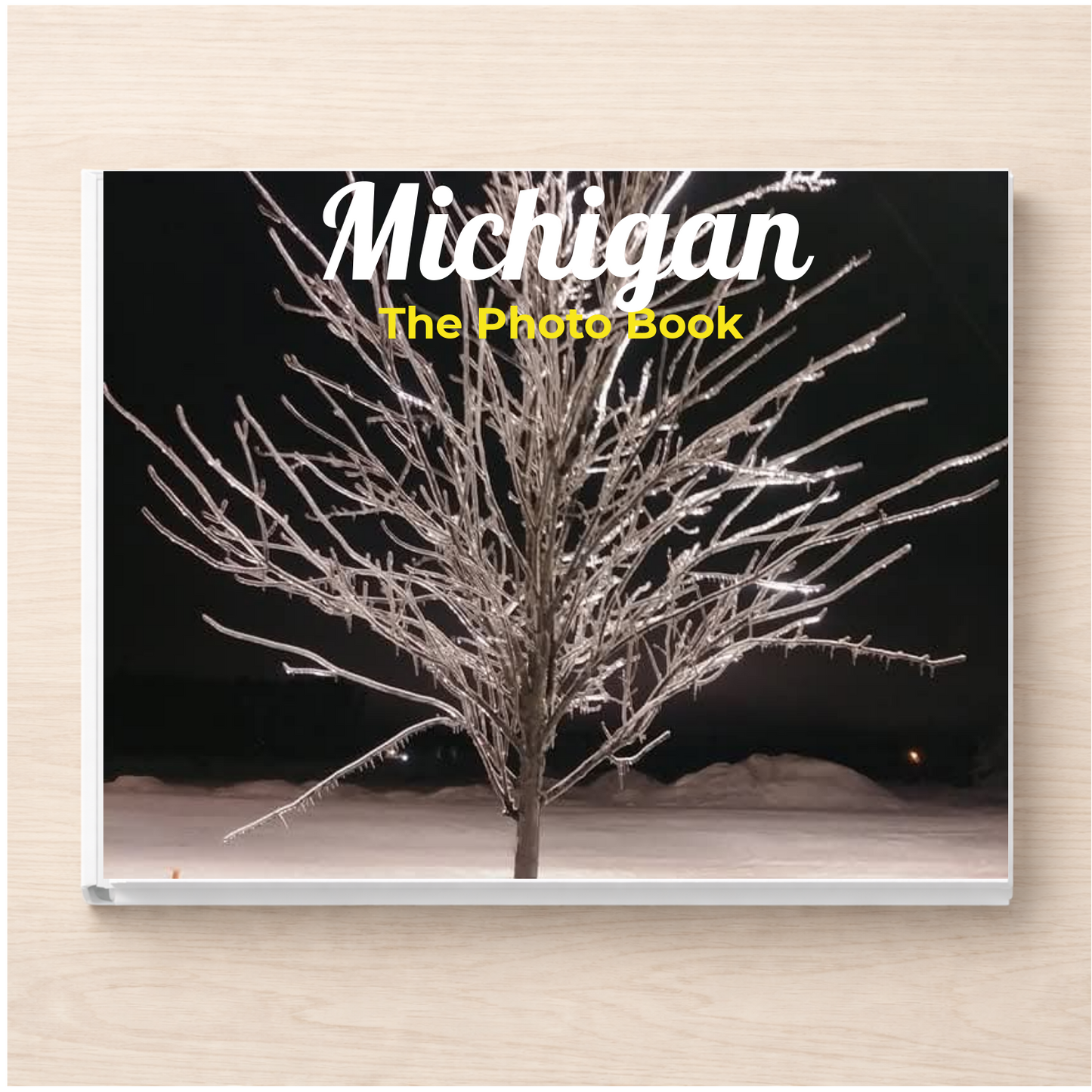 Michigan: The Photo Book