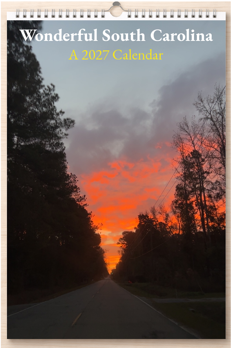 Wonderful South Carolina: A 2027 Calendar