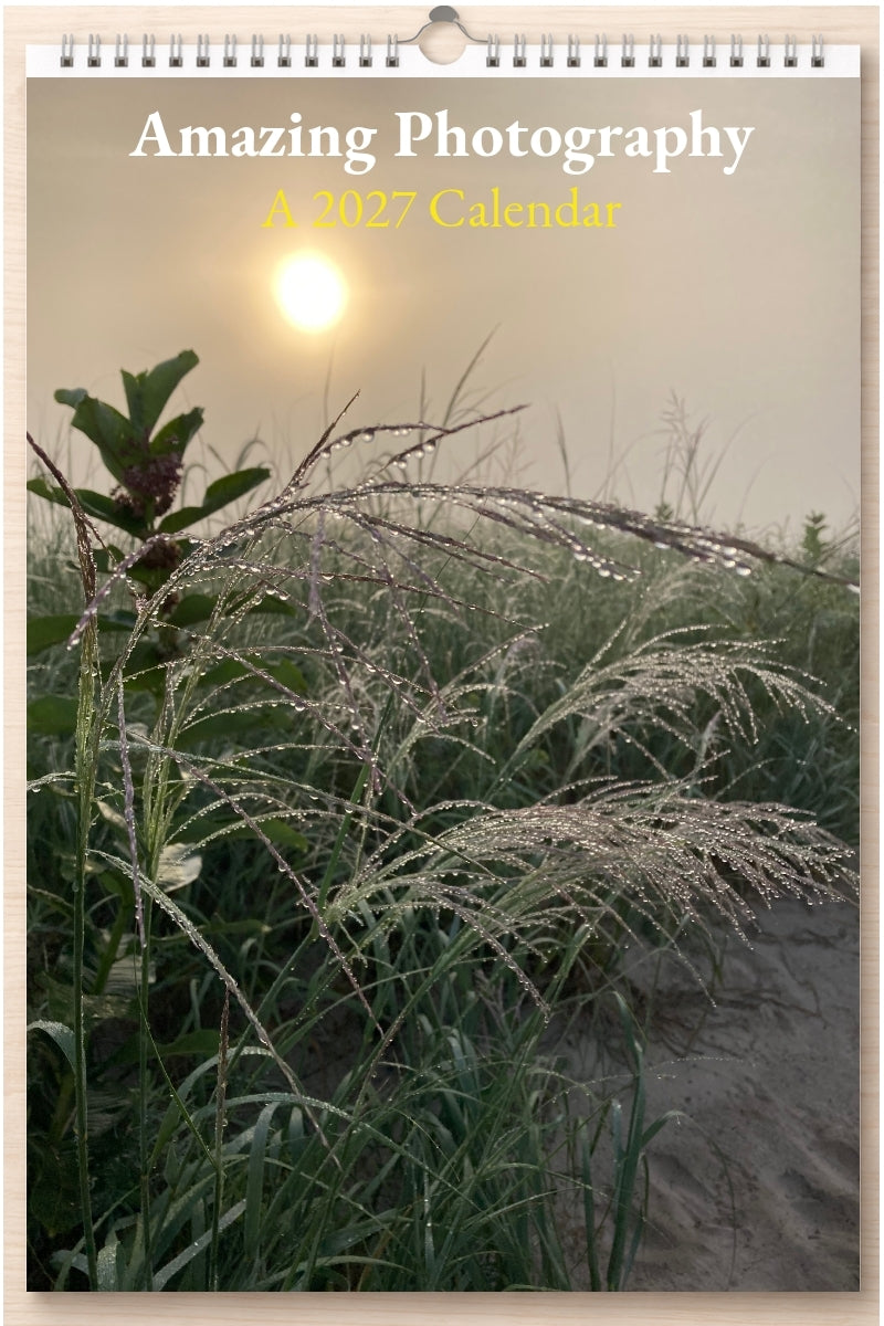 Amazing Photography: A 2027 Calendar