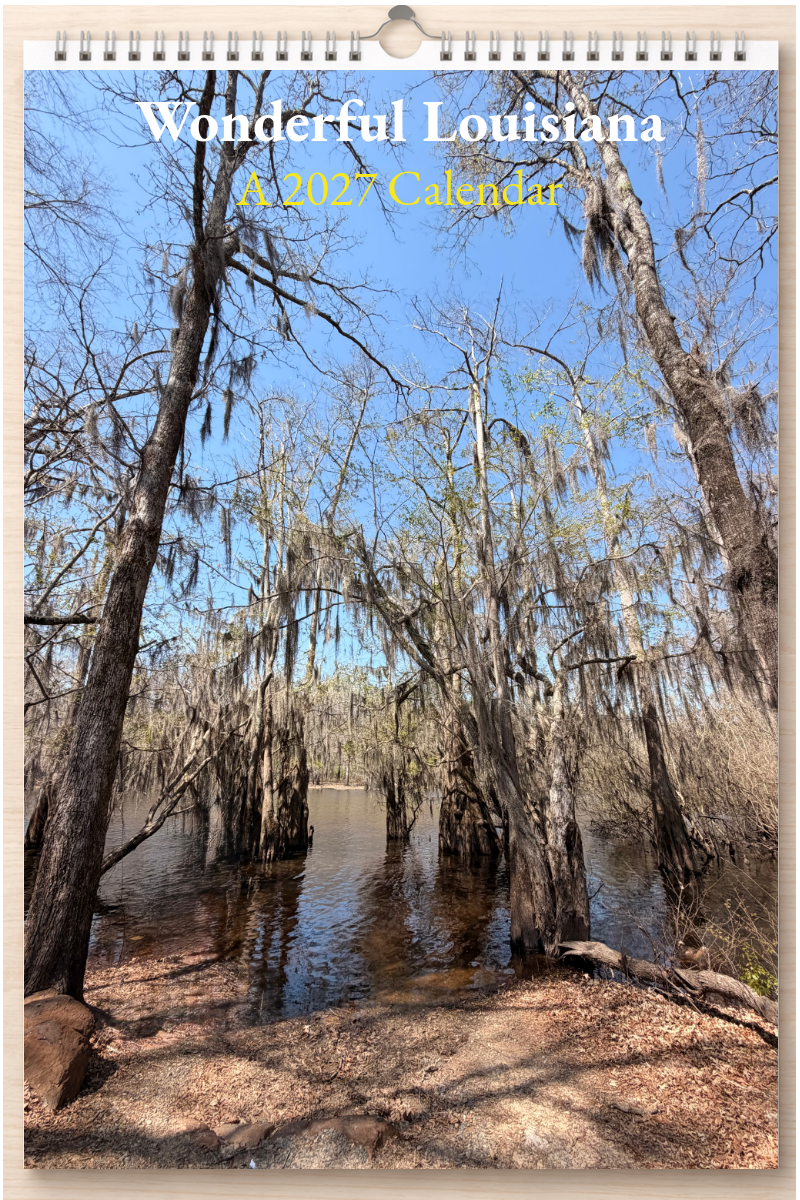 Wonderful Louisiana: A 2027 Calendar