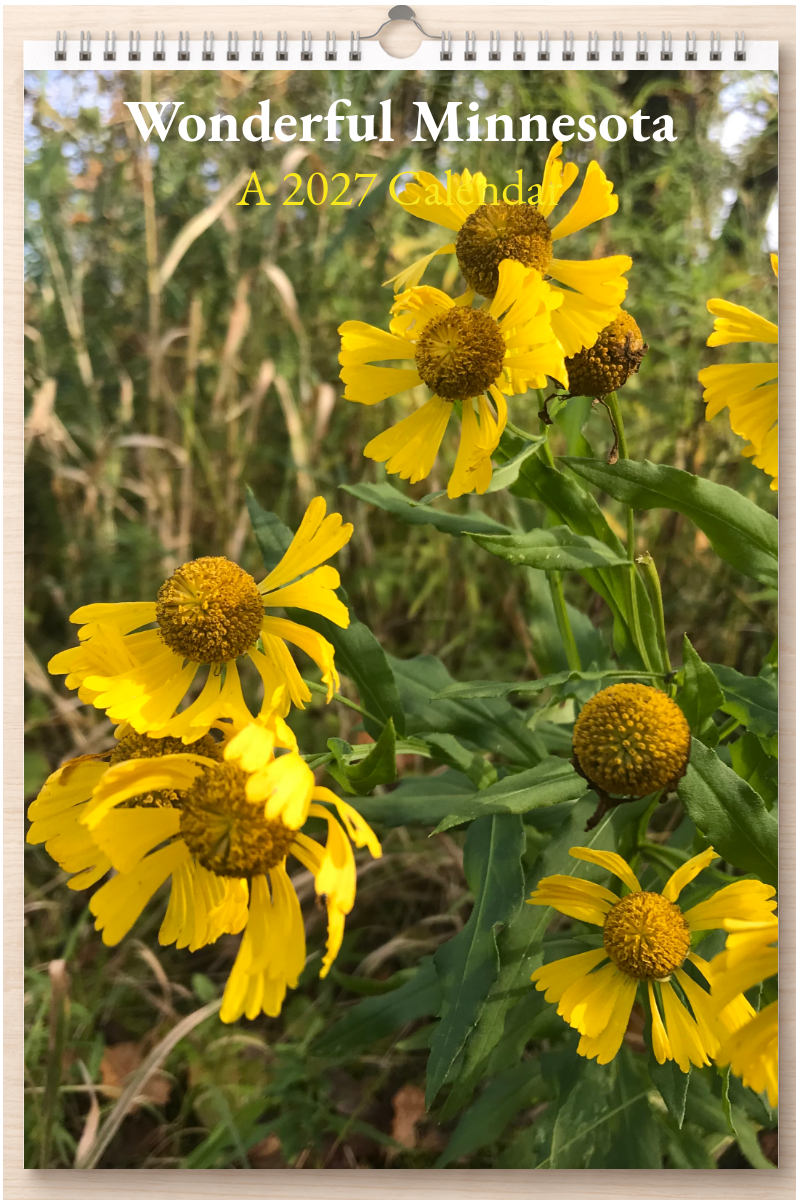 Wonderful Minnesota: A 2027 Calendar