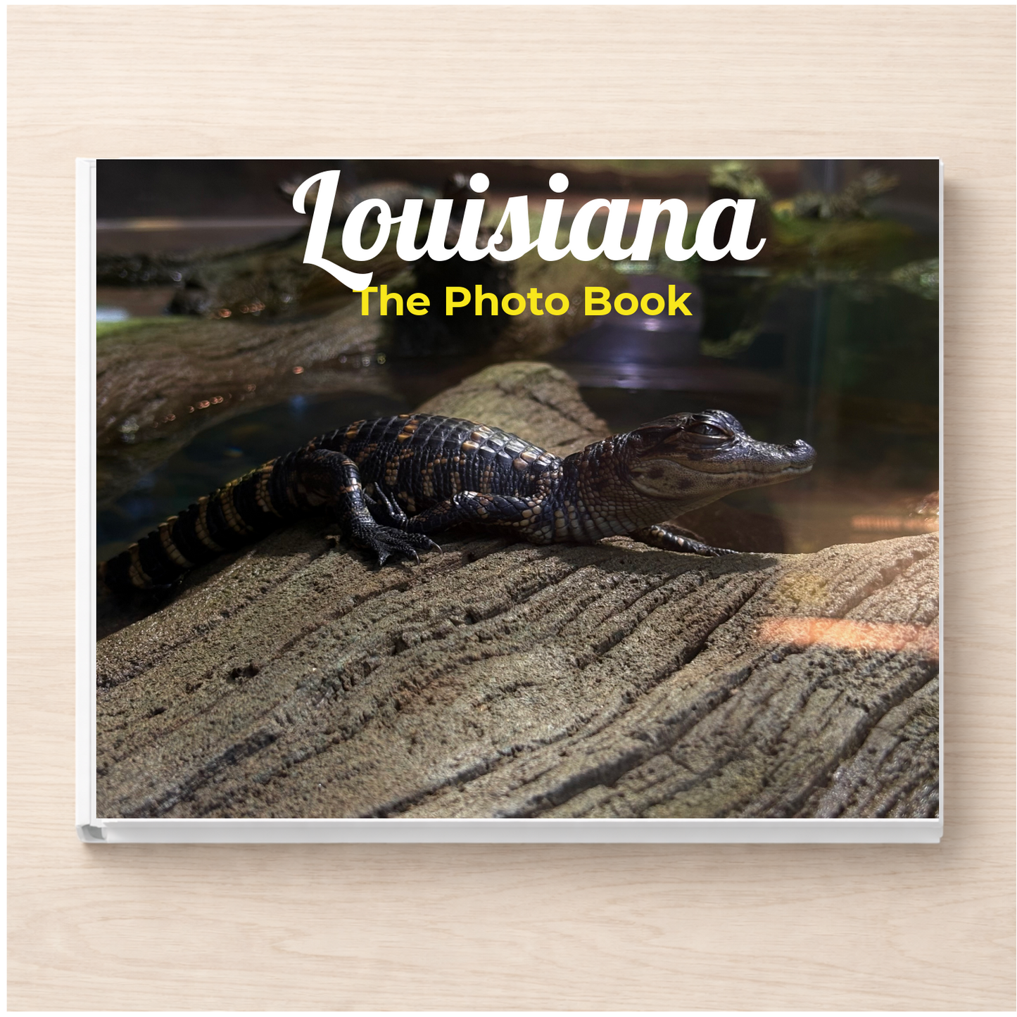 Louisiana: The Photo Book