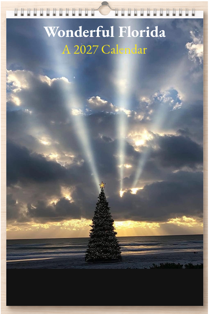 Wonderful Florida: A 2027 Calendar