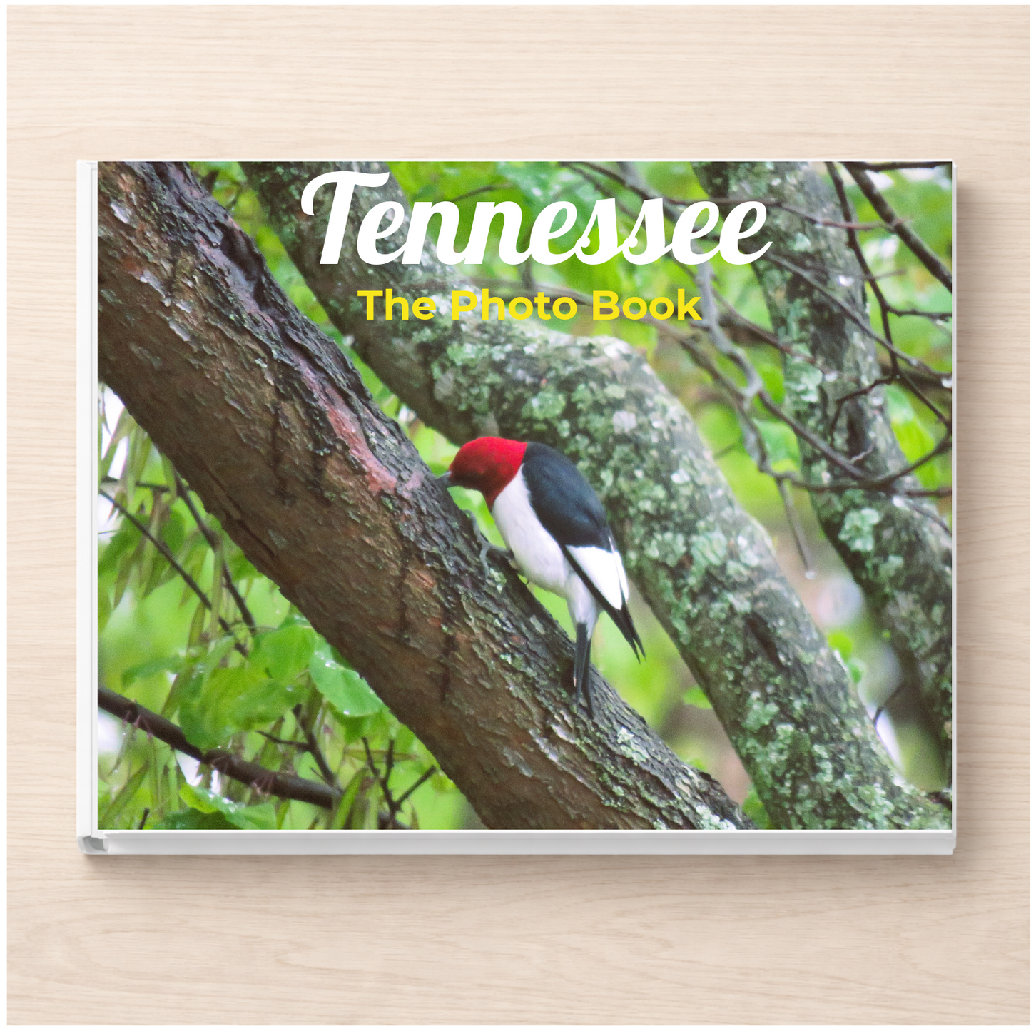 Tennessee: The Photo Book