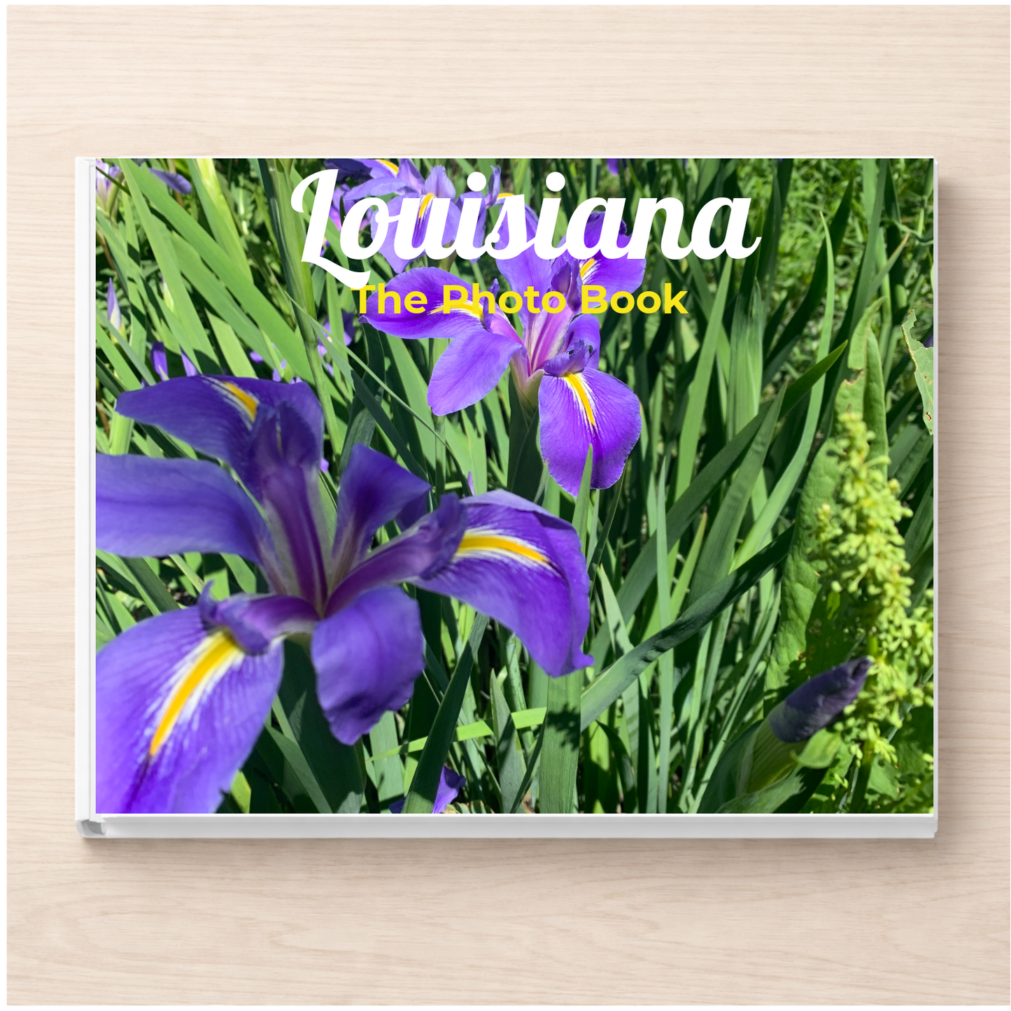 Louisiana: The Photo Book