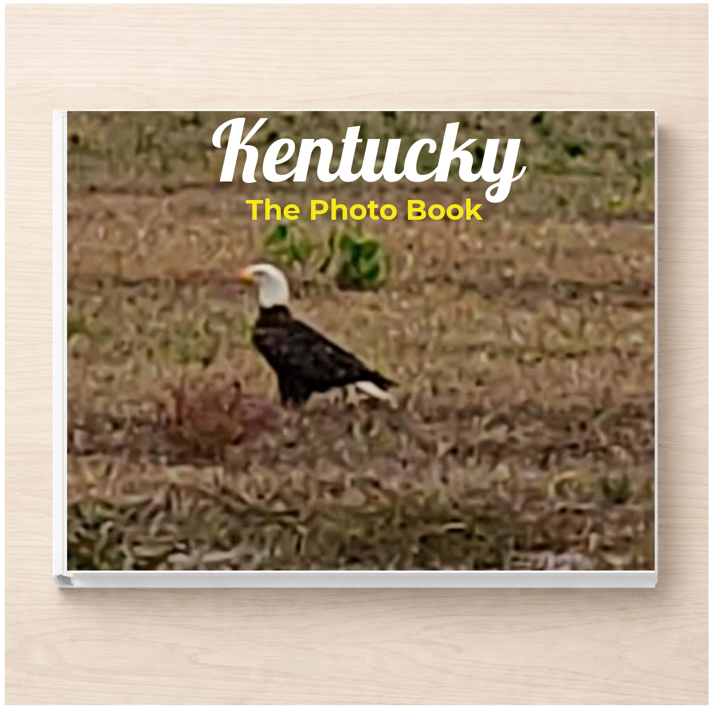Kentucky: The Photo Book