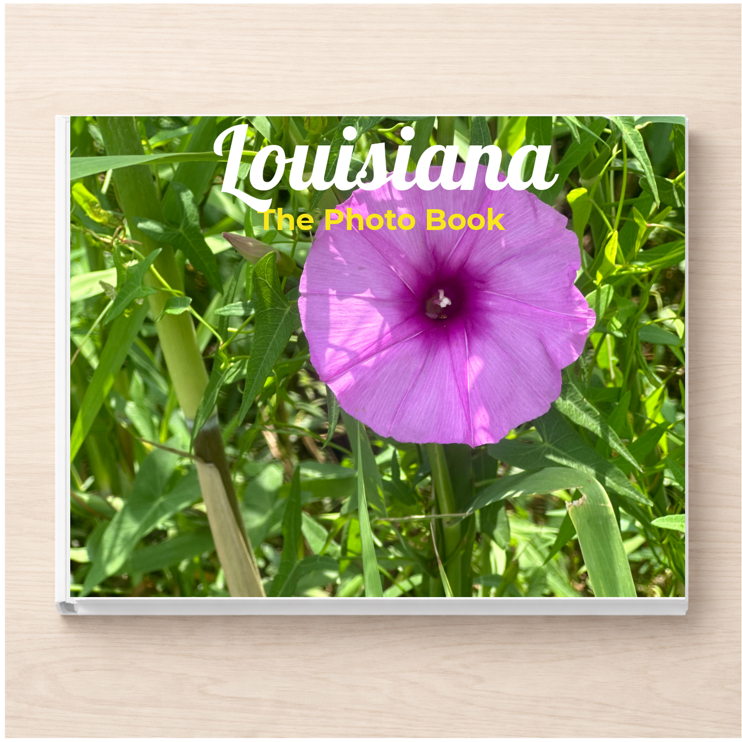 Louisiana: The Photo Book