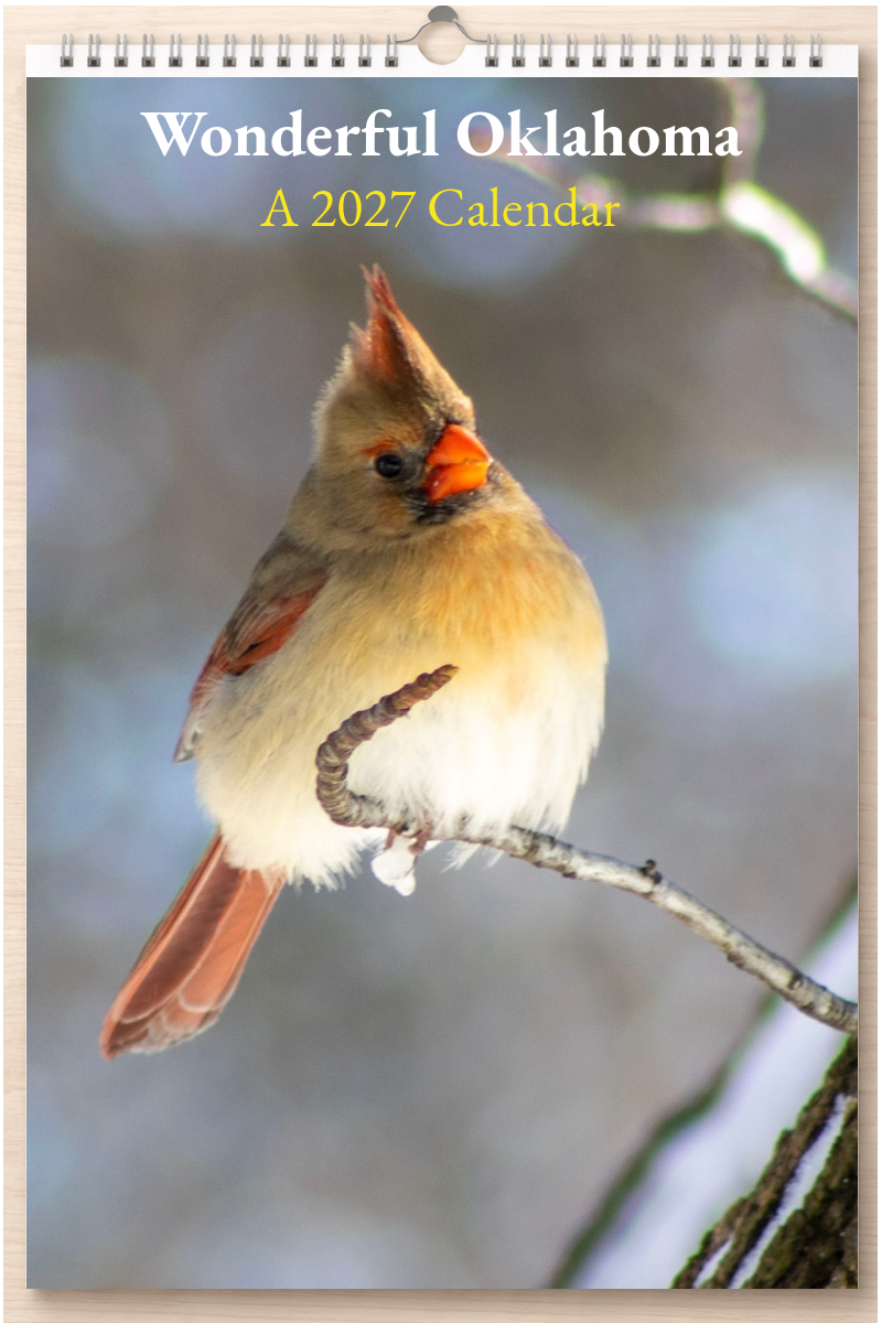 Wonderful Oklahoma: A 2027 Calendar