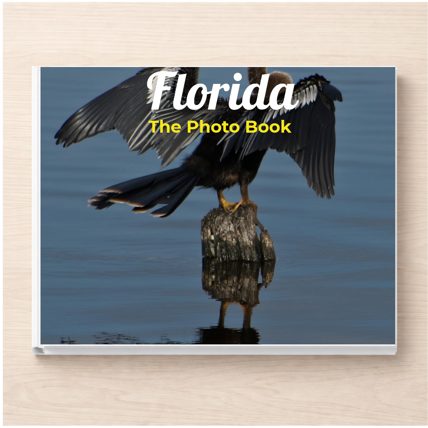 Florida: The Photo Book