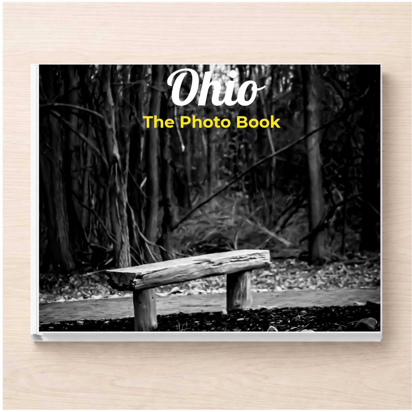 Ohio: The Photo Book