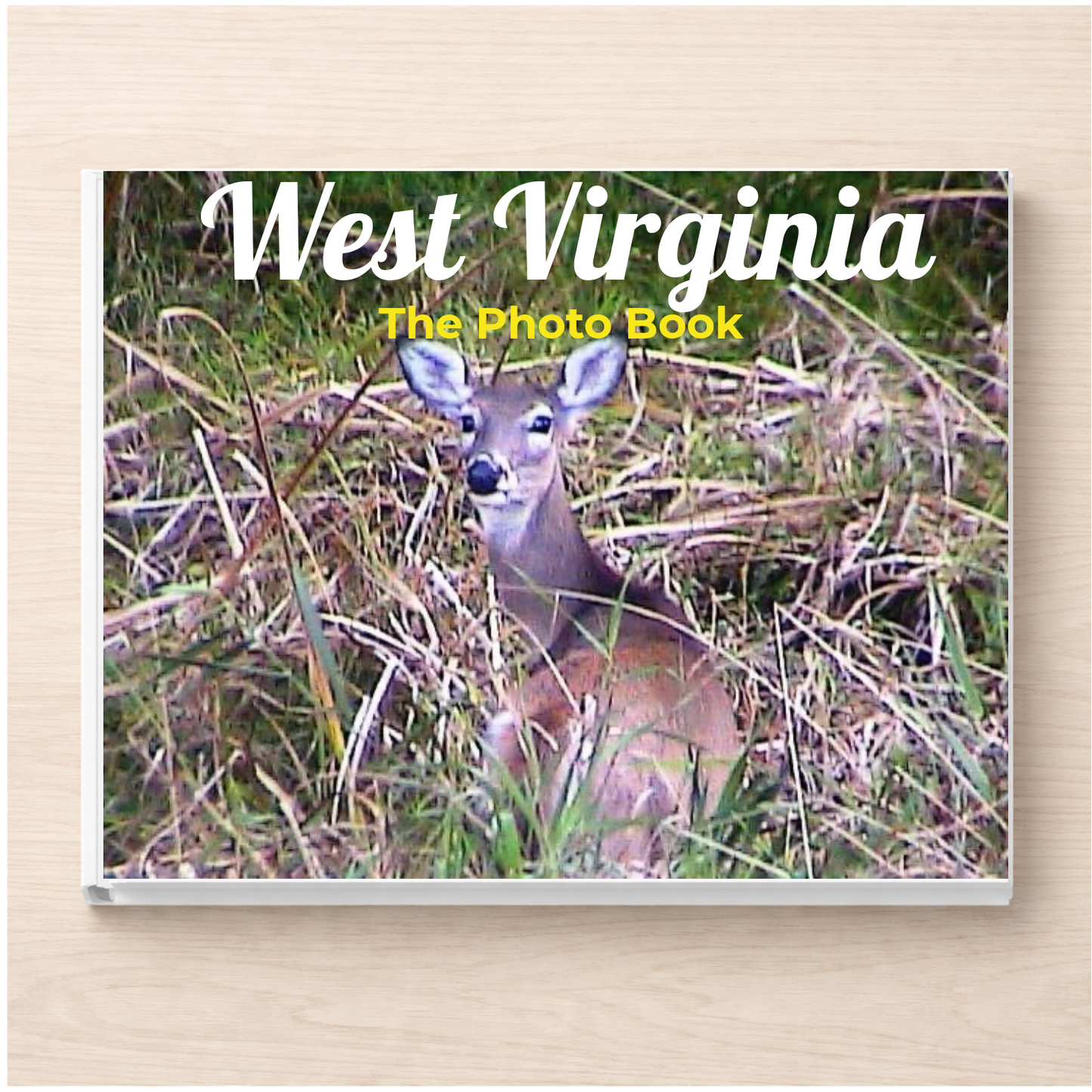 West Virginia: The Photo Book