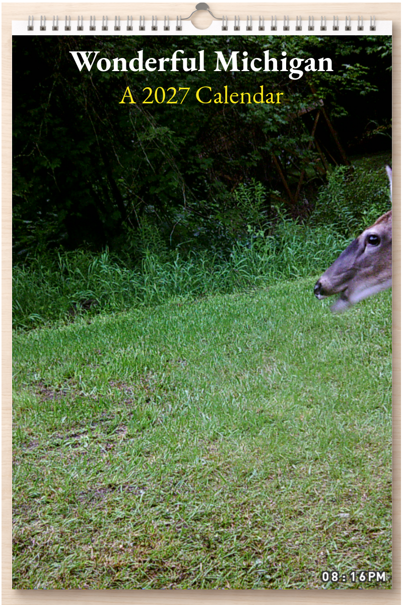 Wonderful Michigan: A 2027 Calendar