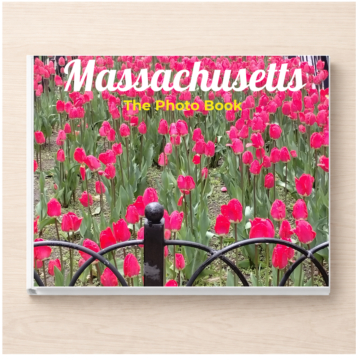 Massachusetts: The Photo Book