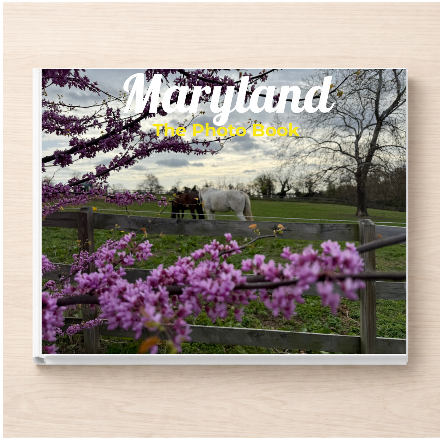 Maryland: The Photo Book
