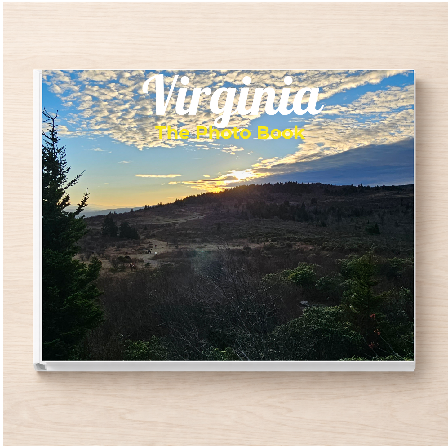 Virginia: The Photo Book