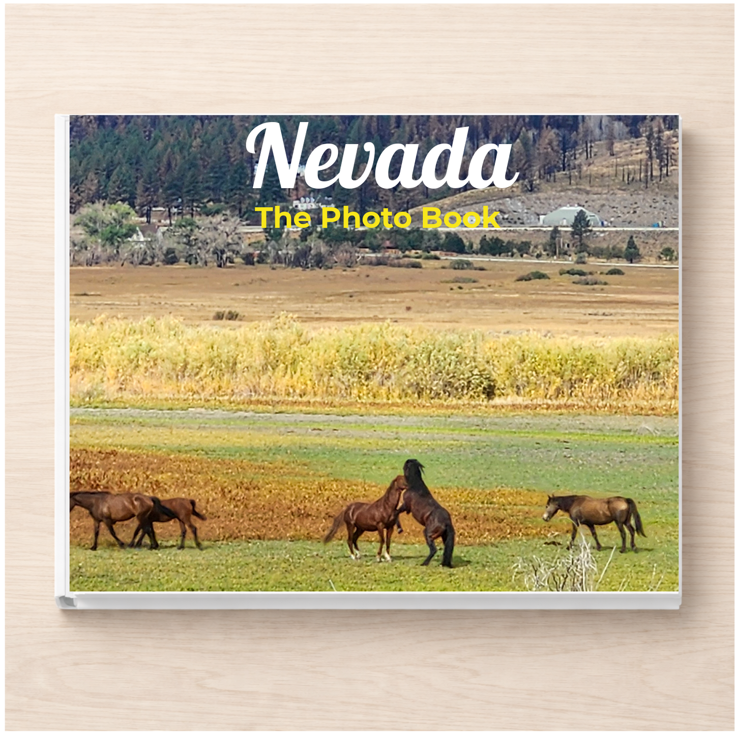 Nevada: The Photo Book