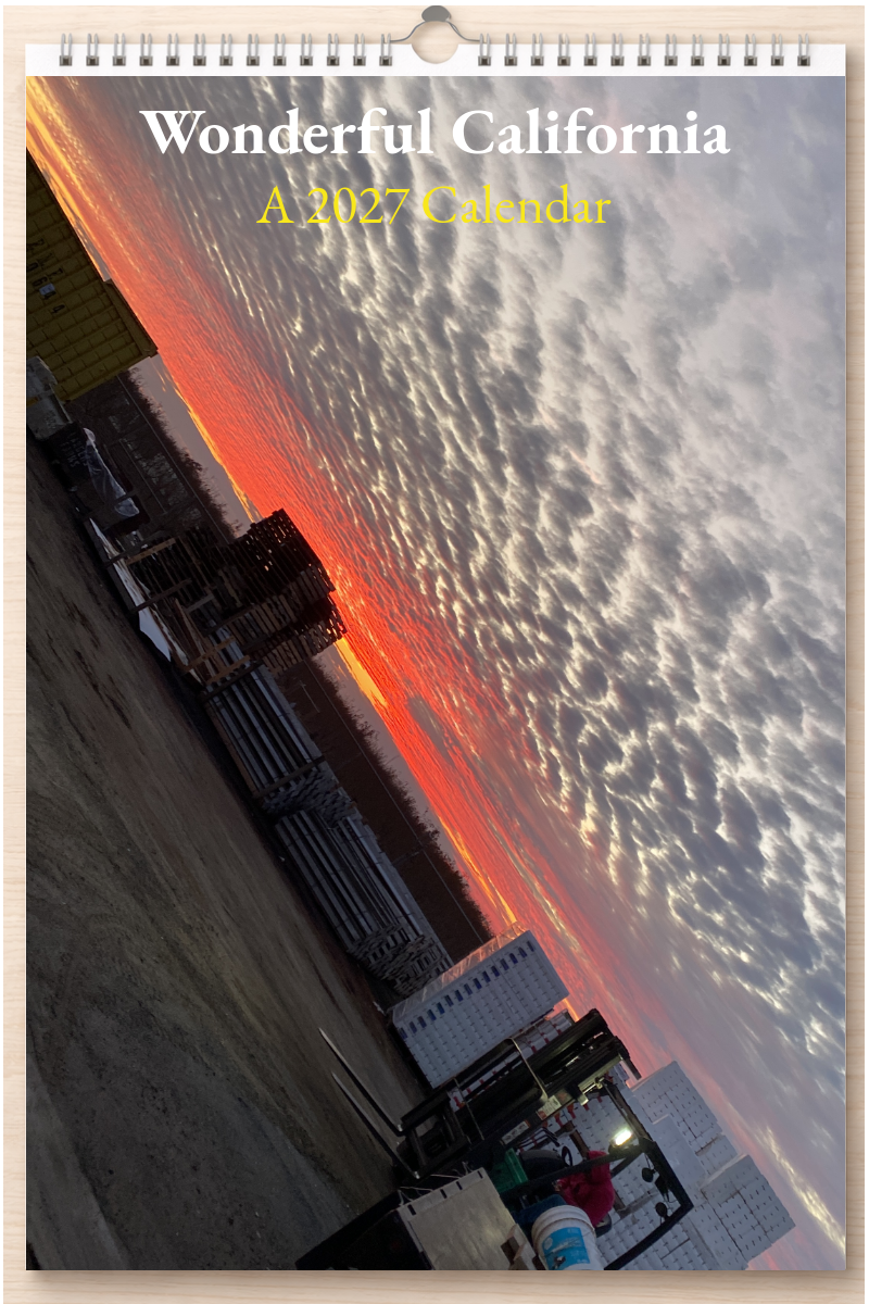 Wonderful California: A 2027 Calendar