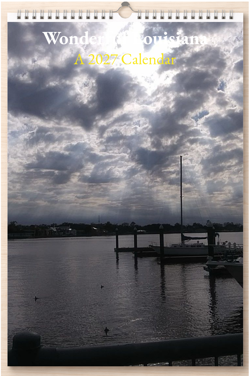 Wonderful Louisiana: A 2027 Calendar