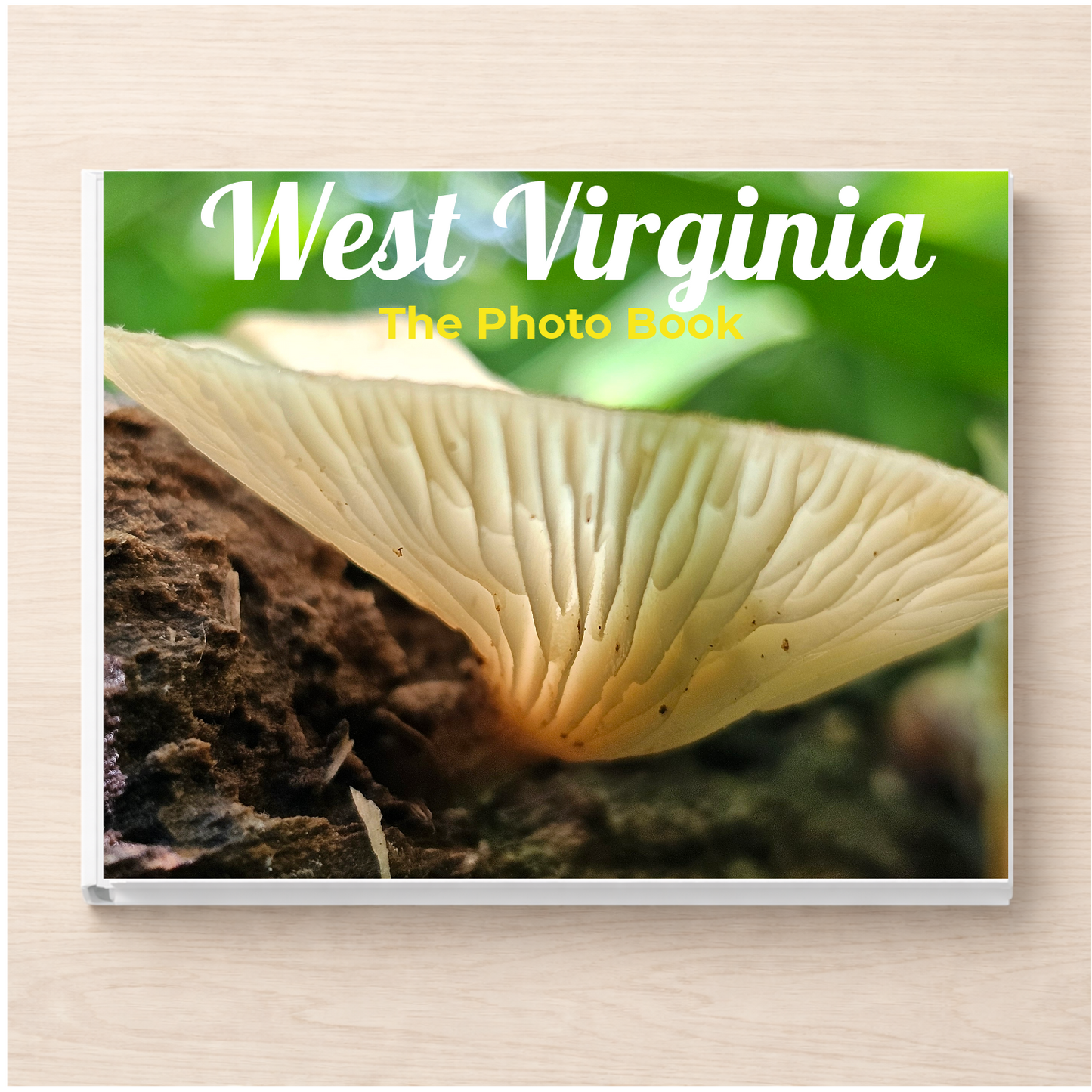 West Virginia: The Photo Book