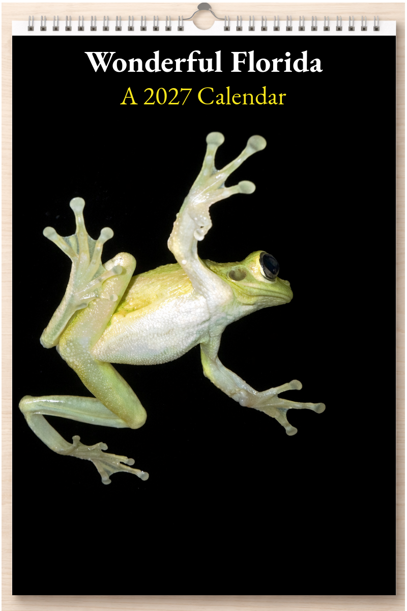 Wonderful Florida: A 2027 Calendar