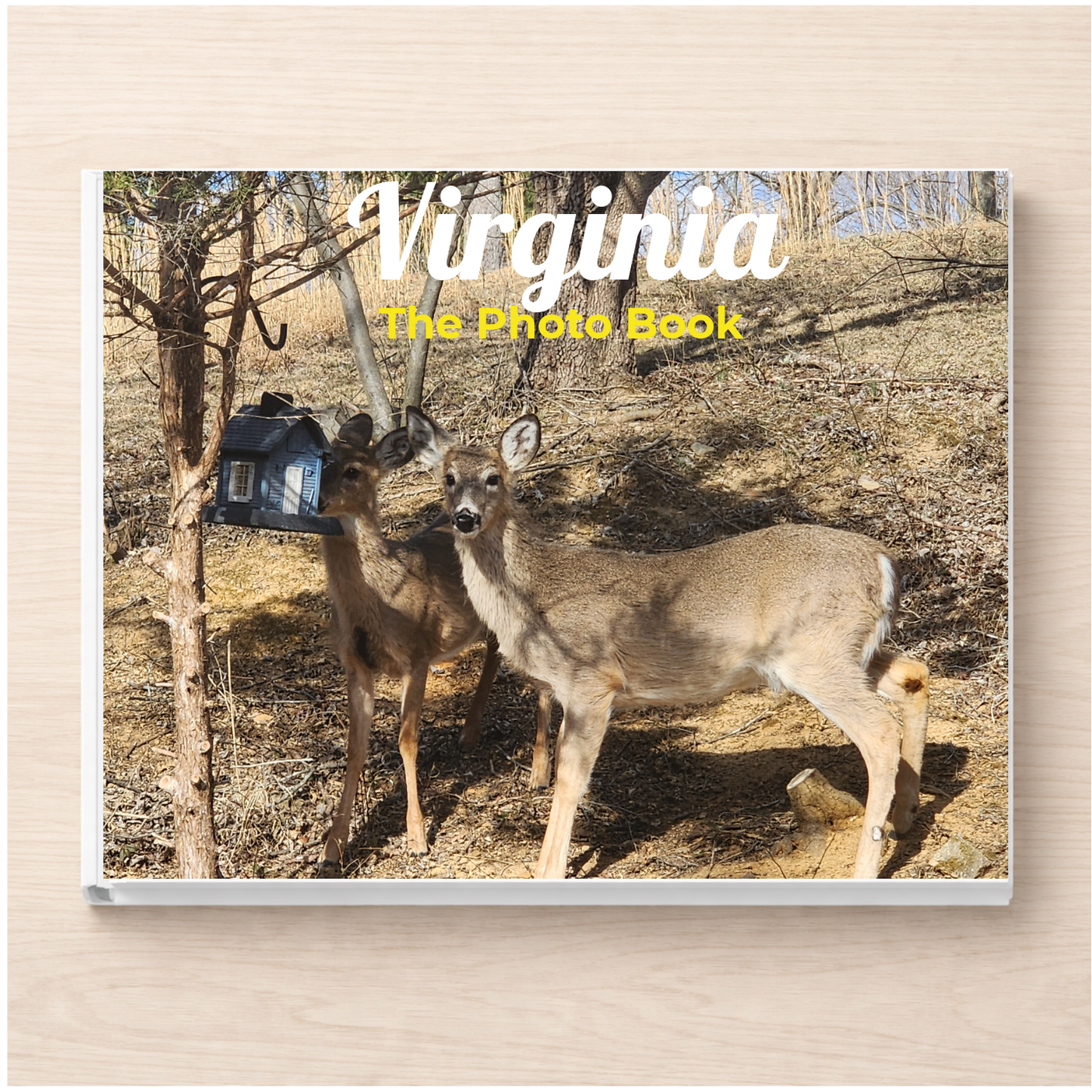 Virginia: The Photo Book