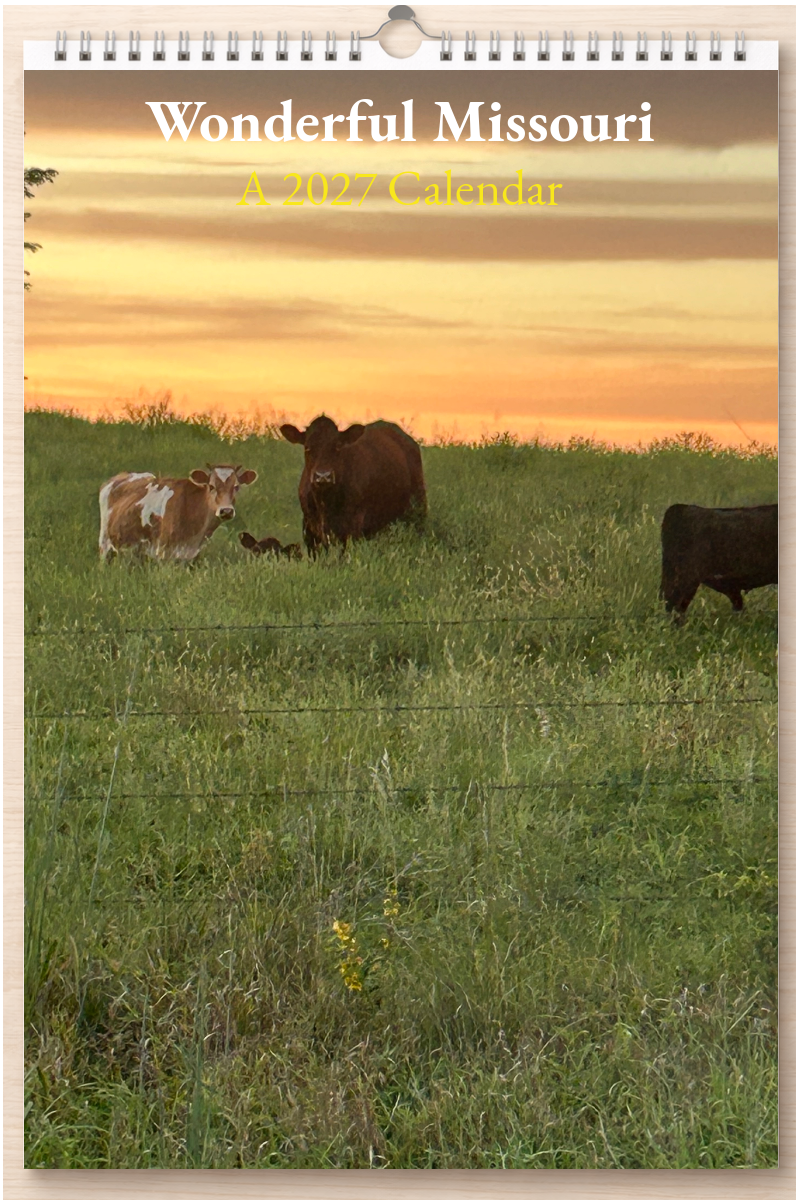 Wonderful Missouri: A 2027 Calendar
