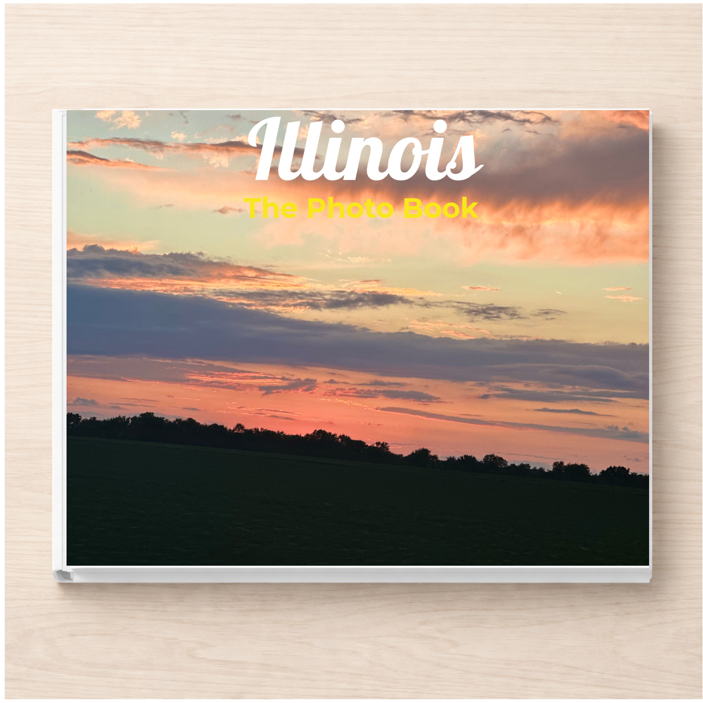 Illinois: The Photo Book
