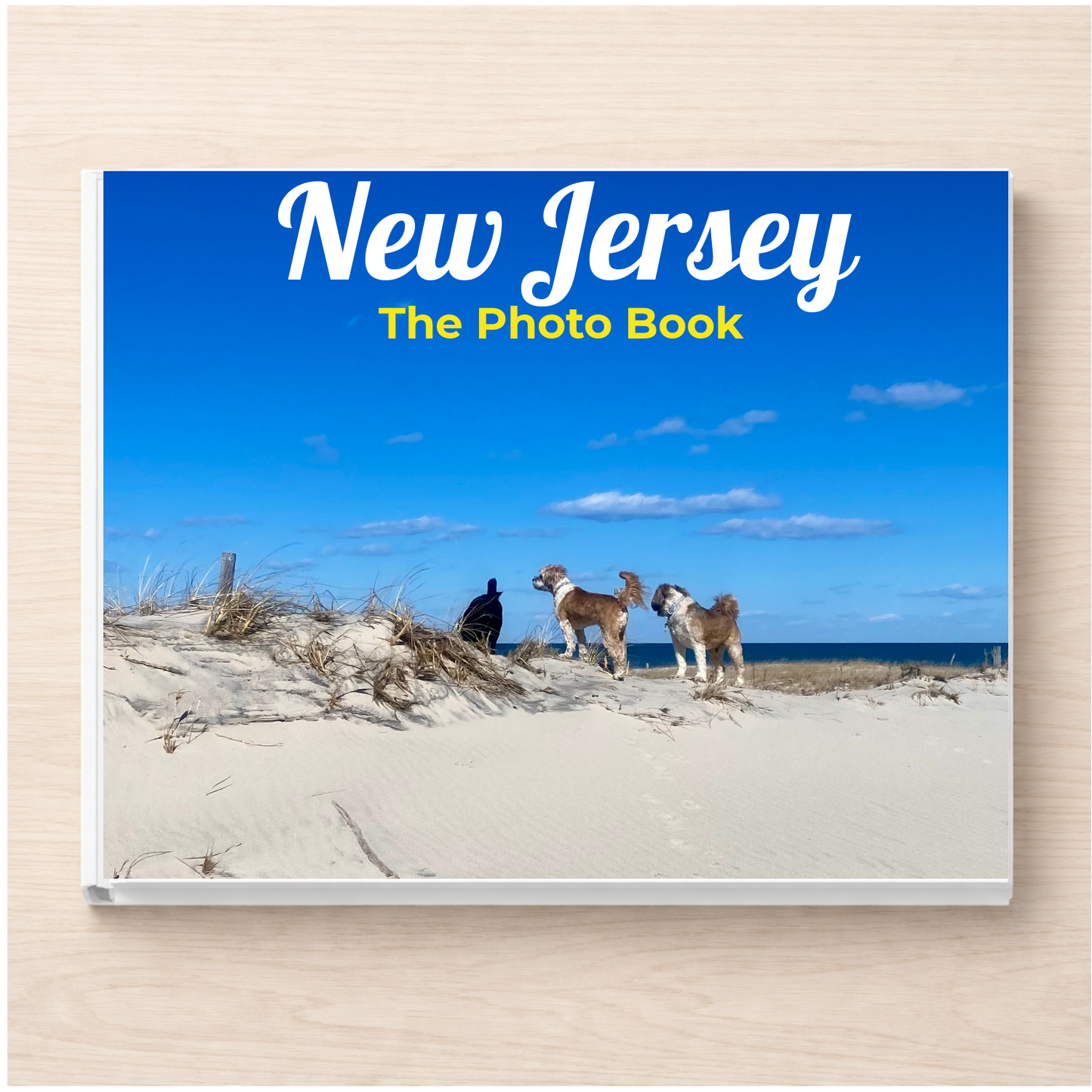 New Jersey: The Photo Book