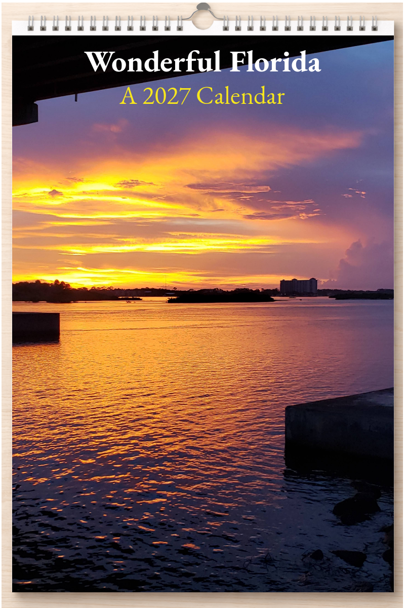 Wonderful Florida: A 2027 Calendar