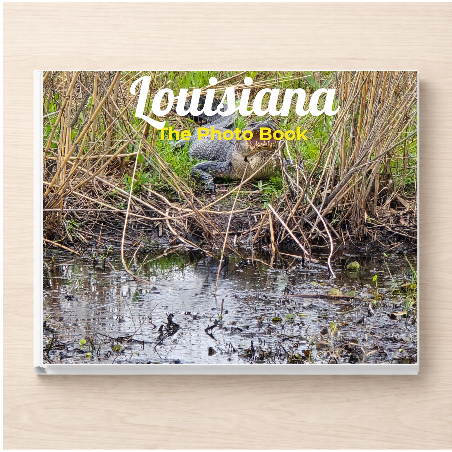 Louisiana: The Photo Book