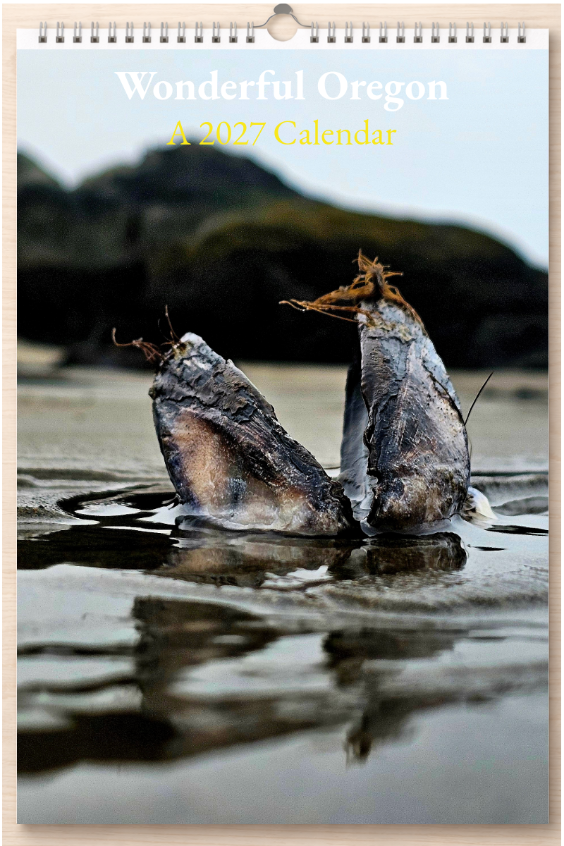 Wonderful Oregon: A 2027 Calendar