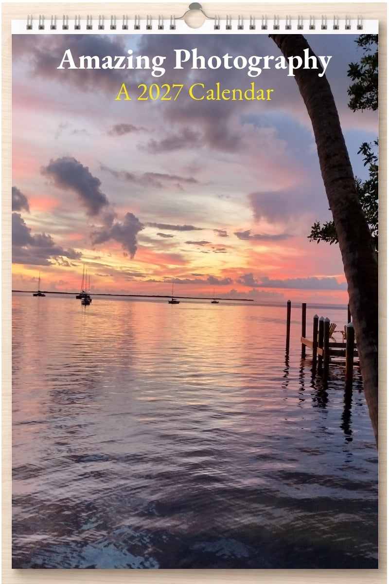 Amazing Photography: A 2027 Calendar